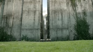 The Maze Runner / Лабиринтът: Невъзможно бягство