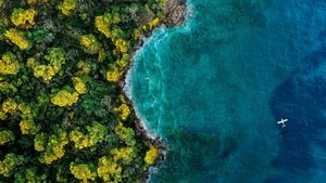 Fantasy Island / Островът на фантазиите