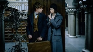 Fantastic Beasts and Where to Find Them / Фантастични животни и къде да ги намерим
