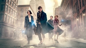 Fantastic Beasts and Where to Find Them / Фантастични животни и къде да ги намерим