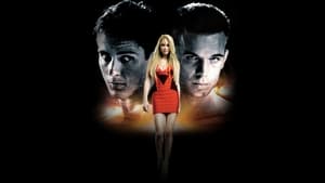 Never Back Down / Никога не се предавай