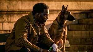 John Wick: Chapter 4 / Джон Уик 4