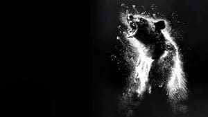 Cocaine Bear / Кокаиновата мечка