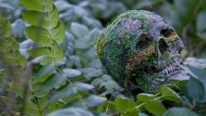Die Alone / Умирай сам